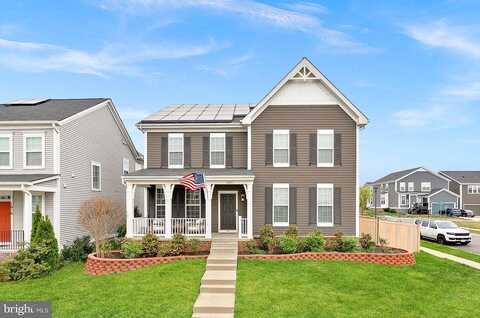 Forsythia, STAFFORD, VA 22554