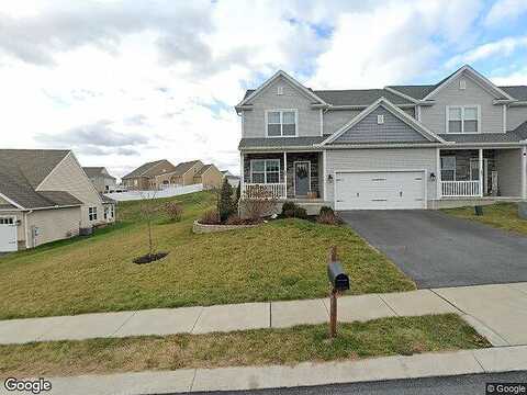 Wigeon, ELIZABETHTOWN, PA 17022