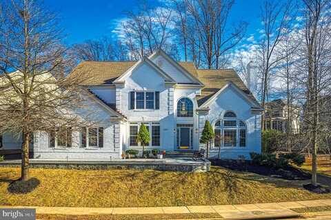 Collin Chase, FAIRFAX, VA 22030