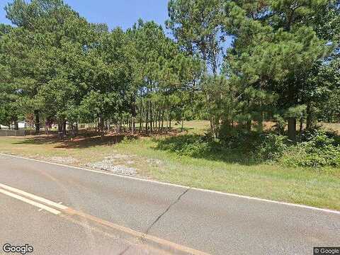 Flint Hill, SHILOH, GA 31826