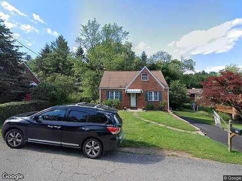 Bridle, GLENSHAW, PA 15116