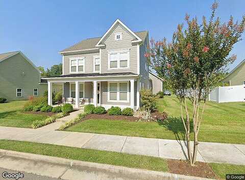 River Birch, DALEVILLE, VA 24083