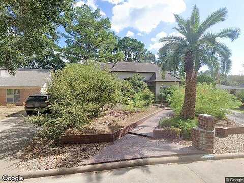 Mauna Loa, HOUSTON, TX 77040