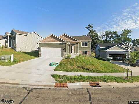 Gaillardia, ROCHESTER, MN 55901