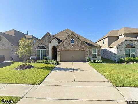Wollemi Pine, KATY, TX 77493