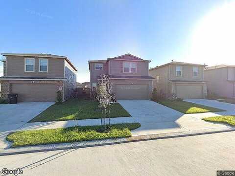 Skyview Silver, HOUSTON, TX 77047