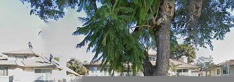 Skyline, BREA, CA 92821