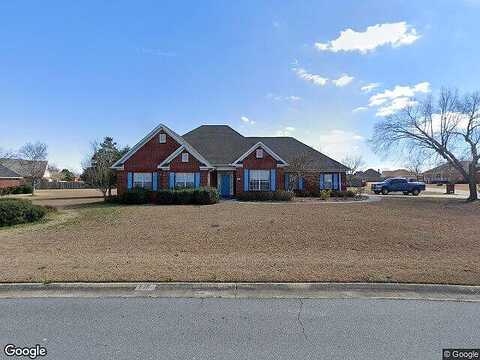 Ginko, KATHLEEN, GA 31047