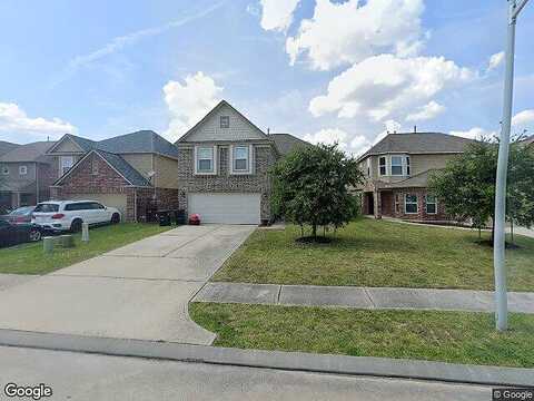 Chimney Swift, CONROE, TX 77385