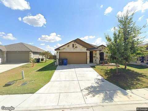 Pumpkin, NEW BRAUNFELS, TX 78130