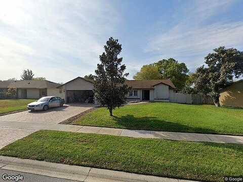 Palm Tree, WINDERMERE, FL 34786