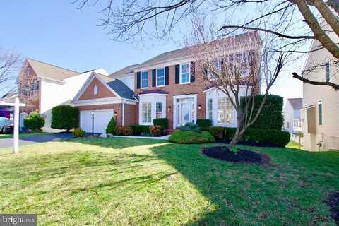 Western Hemlock, LORTON, VA 22079