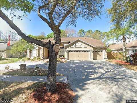 Glencrest, TAMPA, FL 33625