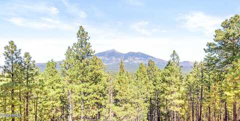 Hidden Hollow, FLAGSTAFF, AZ 86001