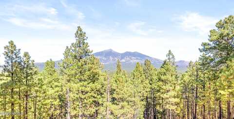 Hidden Hollow, FLAGSTAFF, AZ 86001
