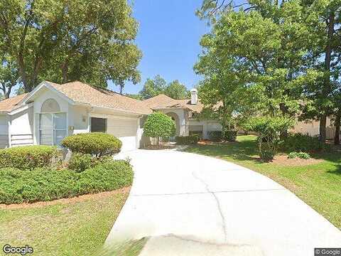 Byrsonima, HOMOSASSA, FL 34446
