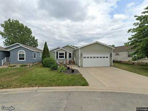 Petunia, ROCHESTER, MN 55904
