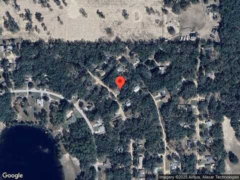 Palm, LADY LAKE, FL 32159