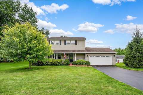 Mitchell, NEW CASTLE, PA 16105