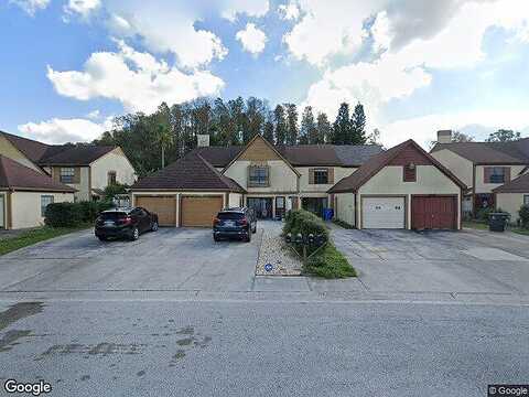 Dawnview, TAMPA, FL 33624