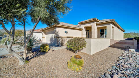 Holly Grape, MARANA, AZ 85658
