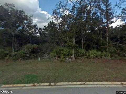 Leaning Tree, SAINT AUGUSTINE, FL 32095