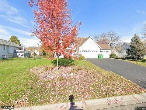 Birch, SAINT MICHAEL, MN 55376