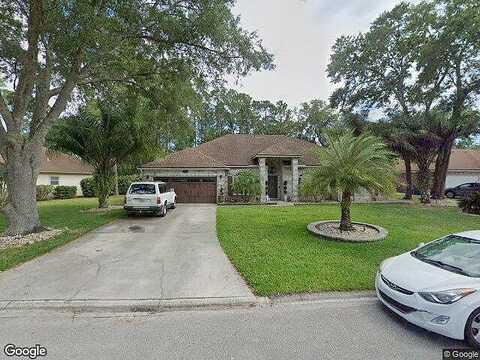 Larkspur, SAINT JOHNS, FL 32259