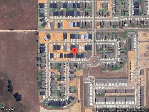 Tulip, DAVENPORT, FL 33837
