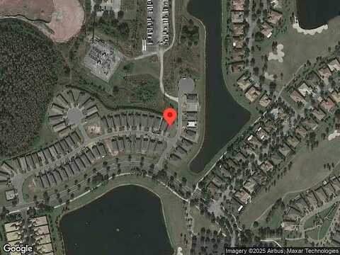 Palm Tree, KISSIMMEE, FL 34759