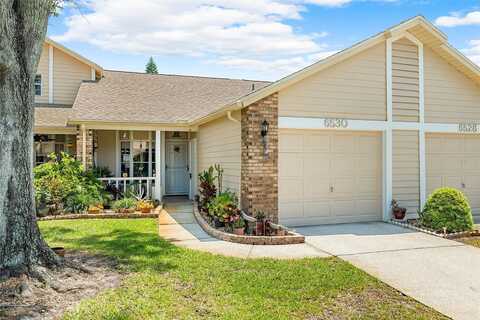 Thicket, NEW PORT RICHEY, FL 34653