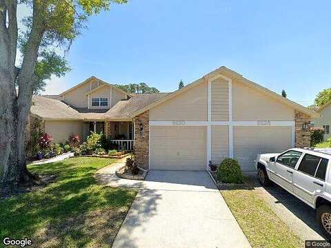 Thicket, NEW PORT RICHEY, FL 34653
