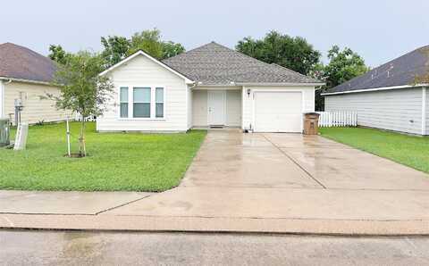 Abbie, DICKINSON, TX 77539