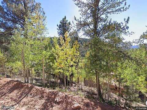 Gross, BAILEY, CO 80421