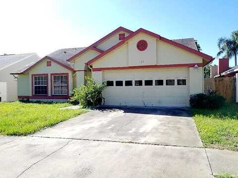 Wood Ibis, TARPON SPRINGS, FL 34689