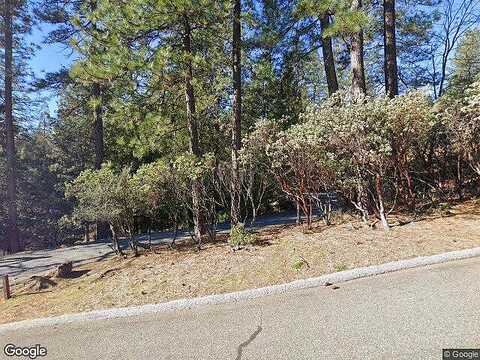 Pine Cone, FORESTHILL, CA 95631