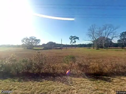 Smokey, GRACEVILLE, FL 32440