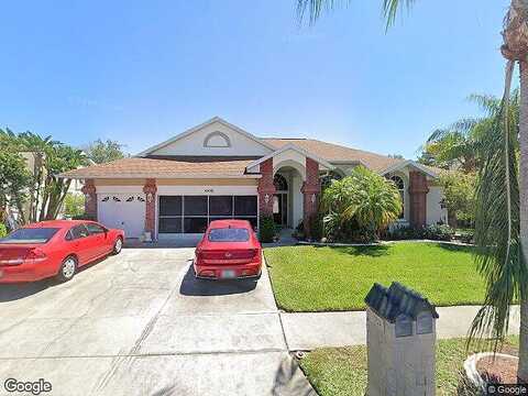 Anaconda, NEW PORT RICHEY, FL 34655