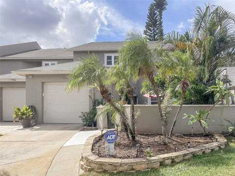 Hunter, PALM HARBOR, FL 34684