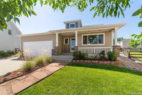 Lone Iris, LITTLETON, CO 80125
