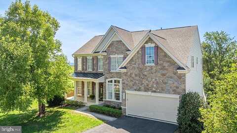 Kennedy, WINCHESTER, VA 22601