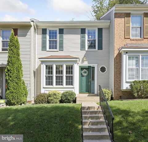 Kousa, SPRINGFIELD, VA 22152