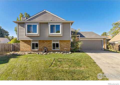 Larkbunting, FORT COLLINS, CO 80526