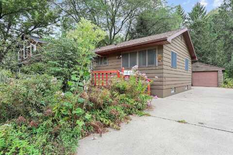 Forsythia, MADISON, WI 53705
