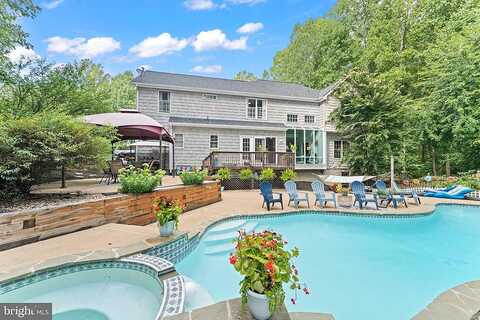 Tuliptree, BEALETON, VA 22712