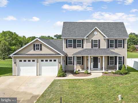 Albin, STEPHENS CITY, VA 22655