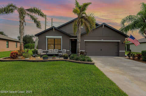 Alibird, TITUSVILLE, FL 32780