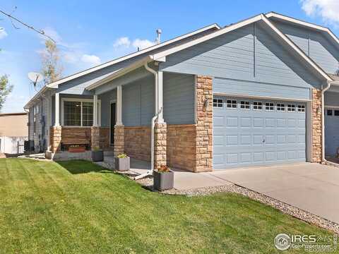 Lily, LOVELAND, CO 80537