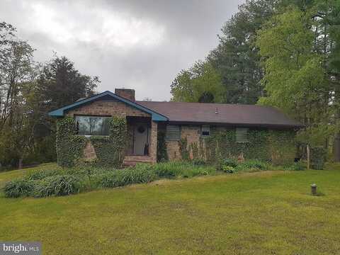 Pine Tree, WASHINGTON, VA 22747