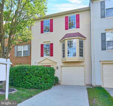 Papilion, CENTREVILLE, VA 20121